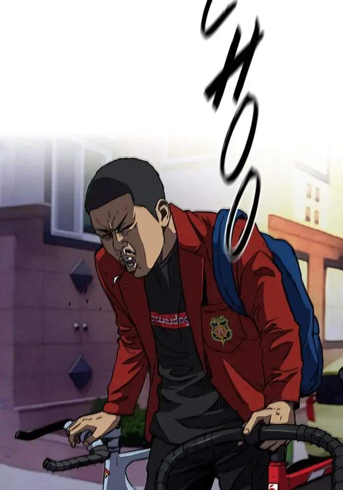 Wind Breaker