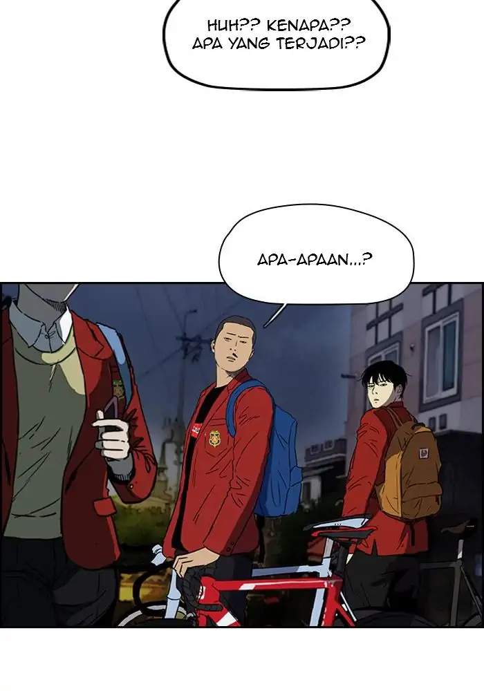 Wind Breaker