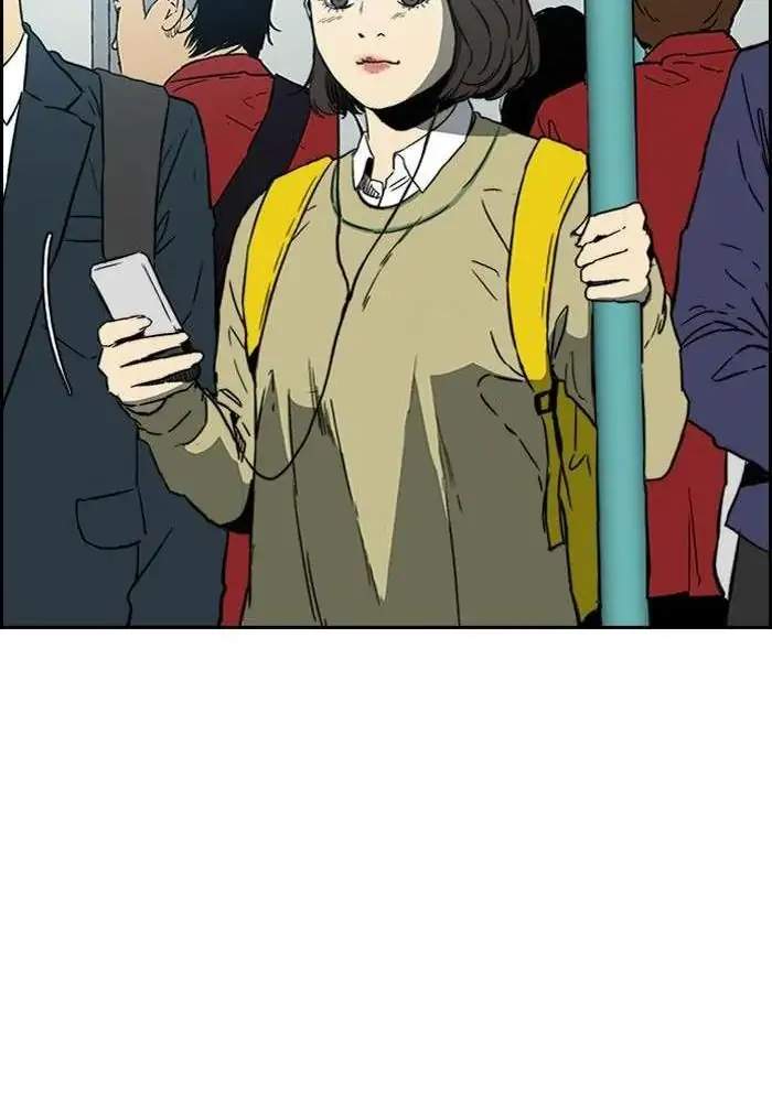 Wind Breaker