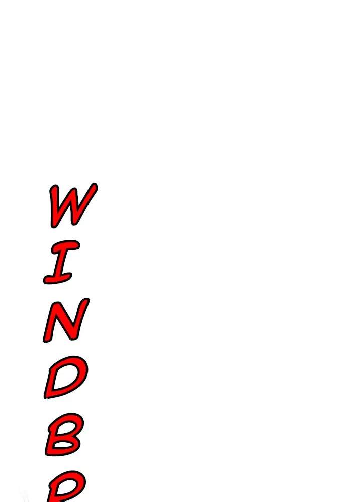 Wind Breaker