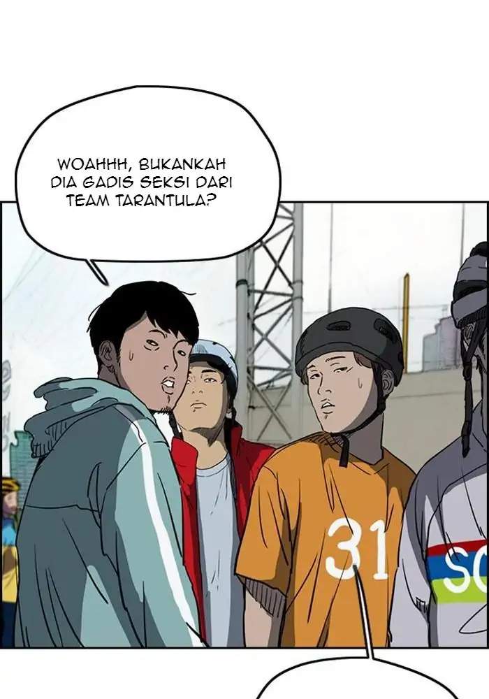 Wind Breaker
