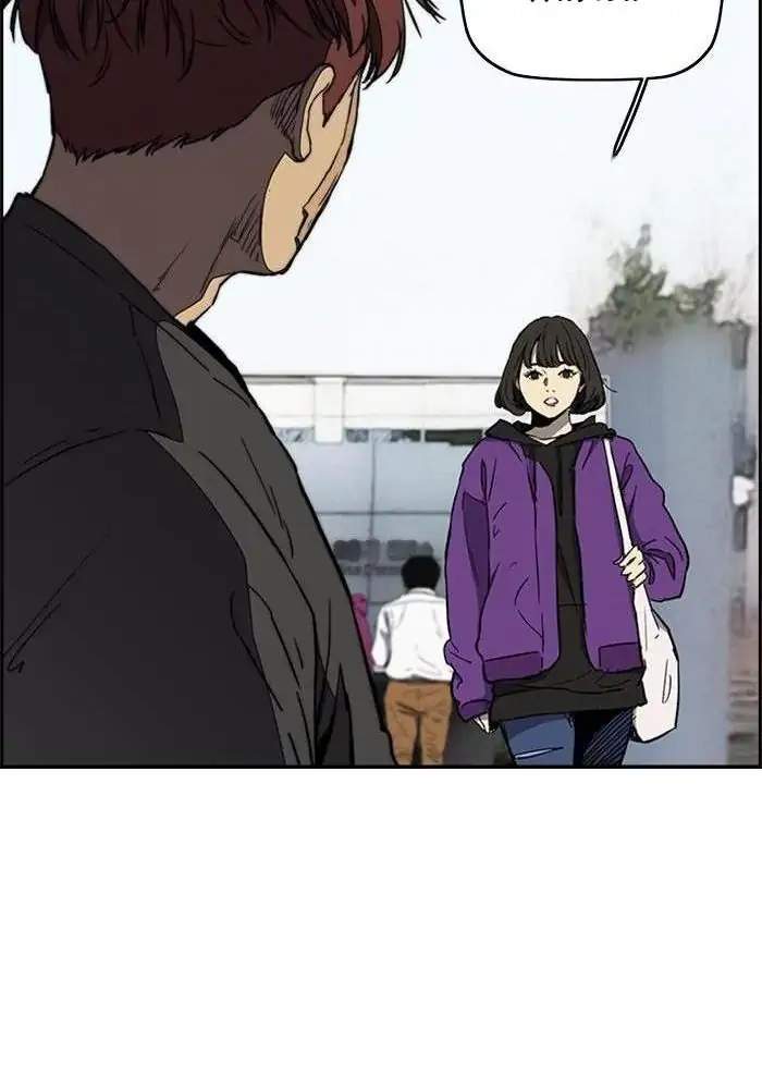 Wind Breaker