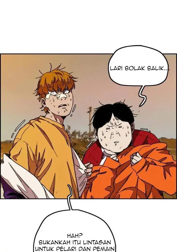Wind Breaker