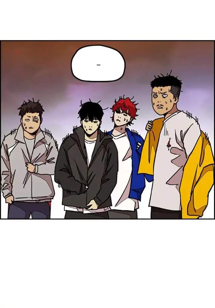 Wind Breaker