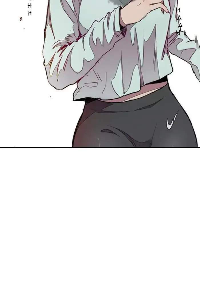 Wind Breaker