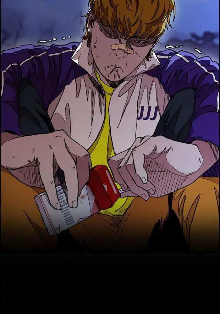 Wind Breaker