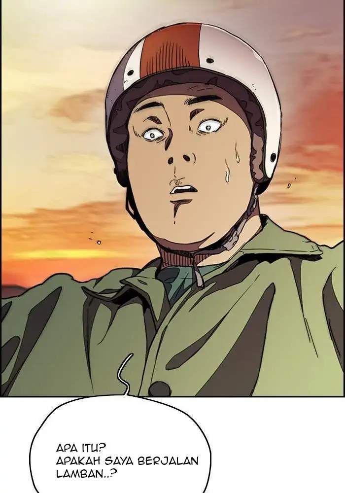 Wind Breaker