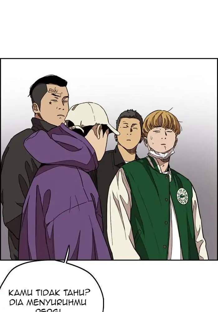 Wind Breaker