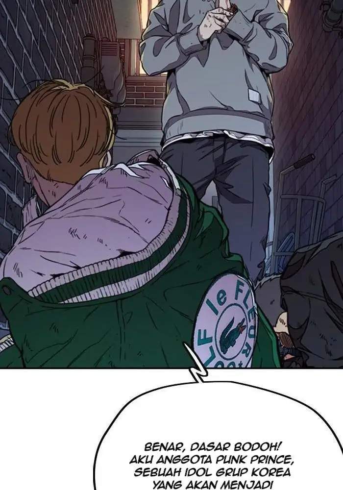 Wind Breaker