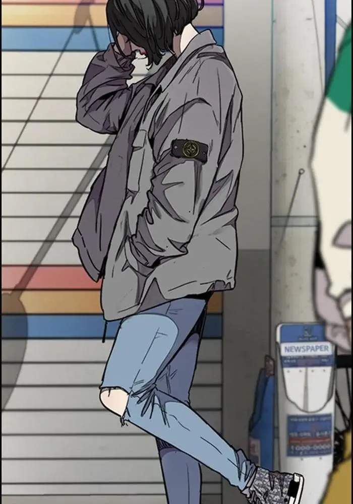 Wind Breaker