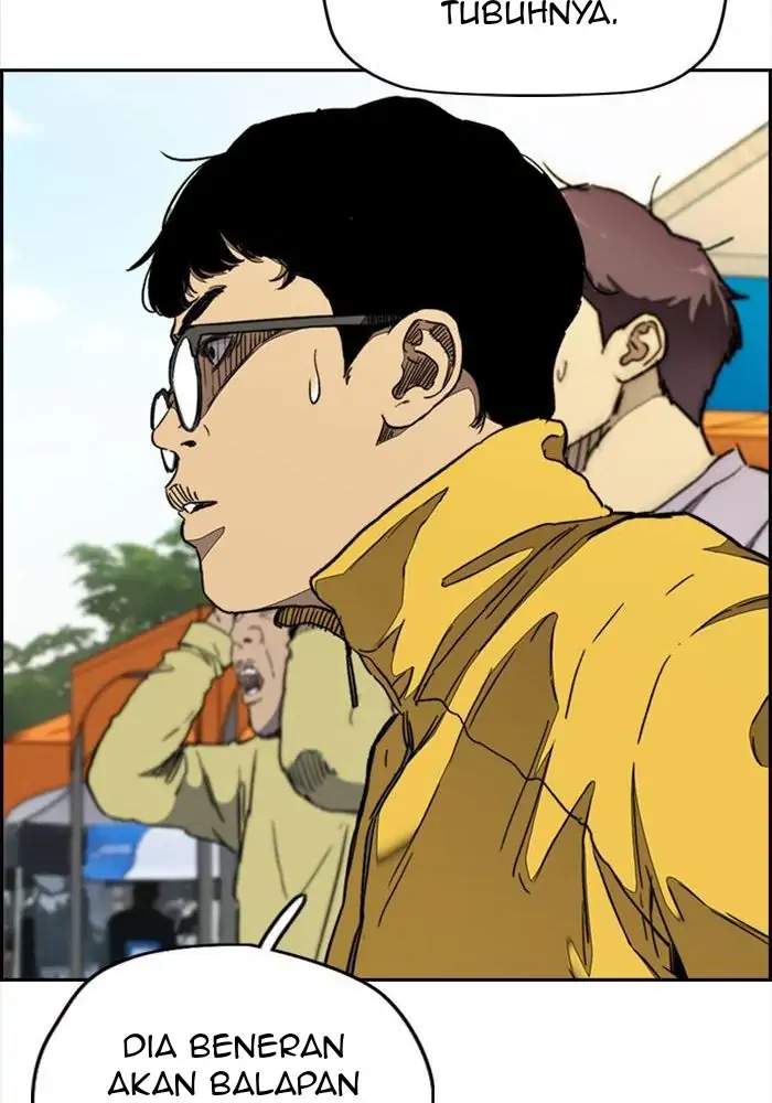 Wind Breaker