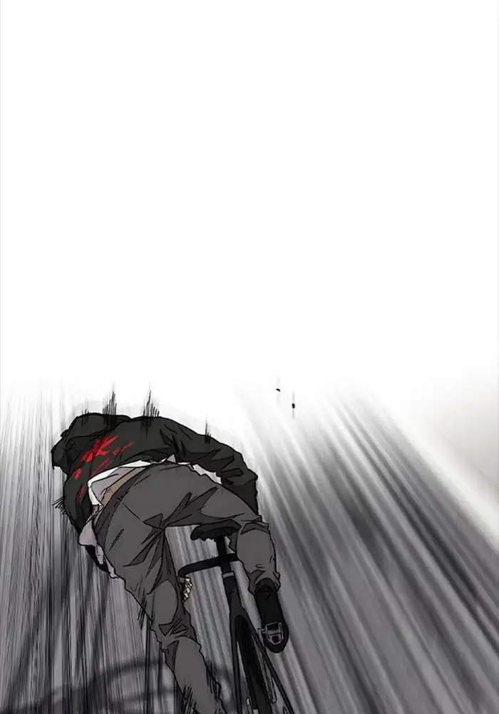 Wind Breaker