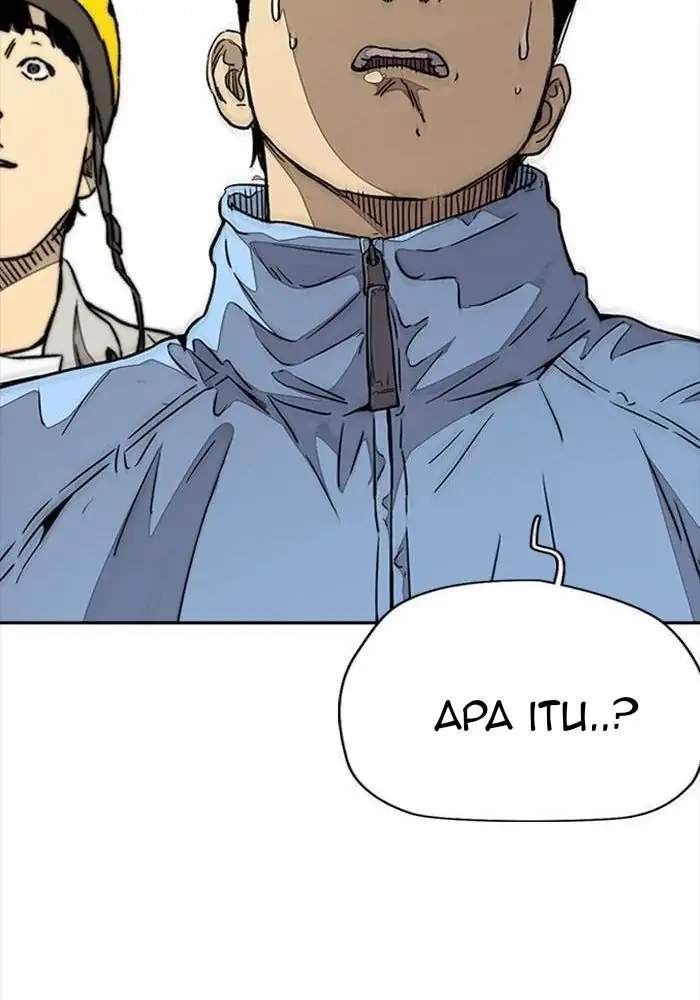 Wind Breaker