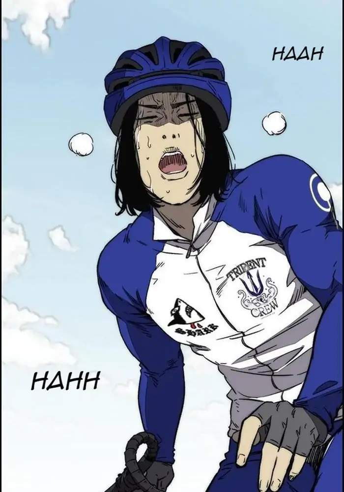 Wind Breaker