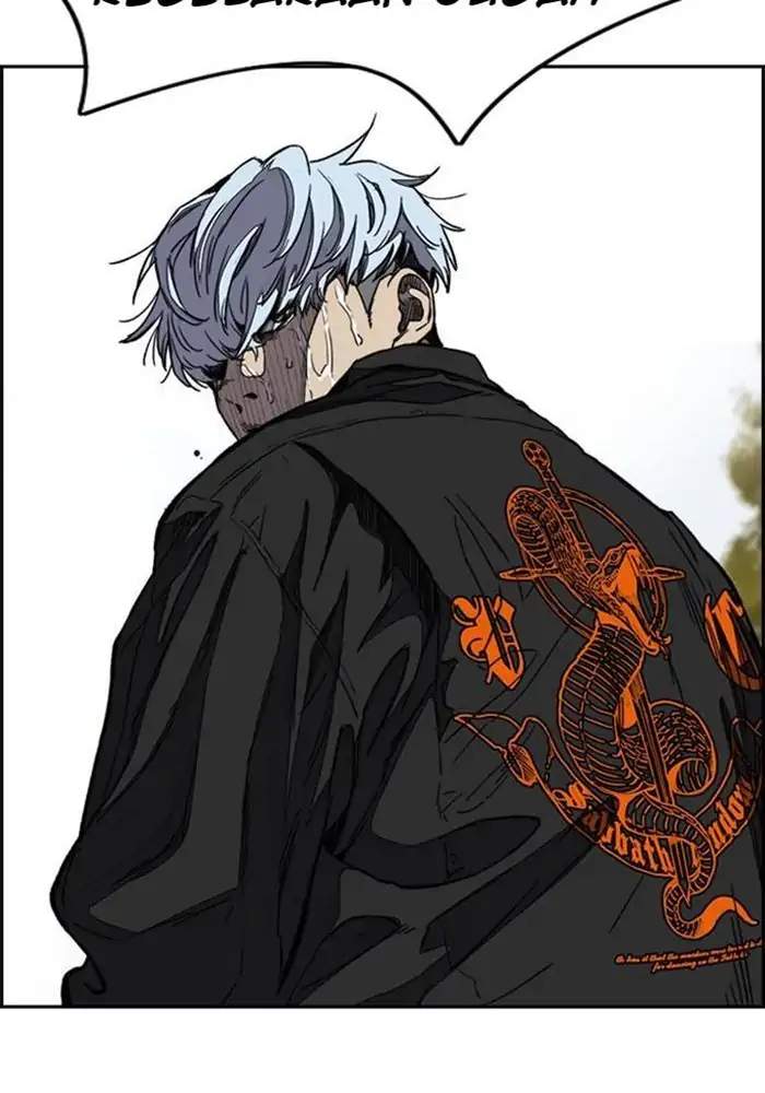 Wind Breaker
