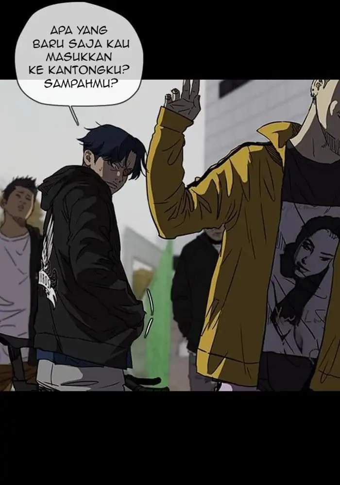 Wind Breaker