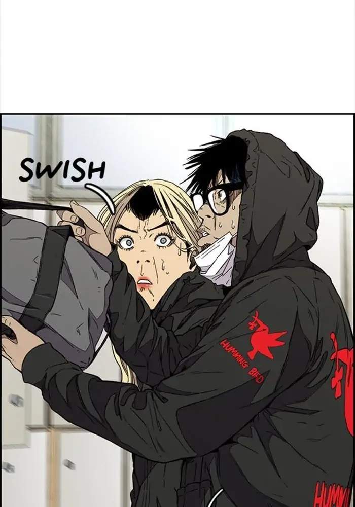 Wind Breaker