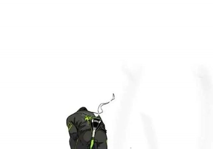 Wind Breaker