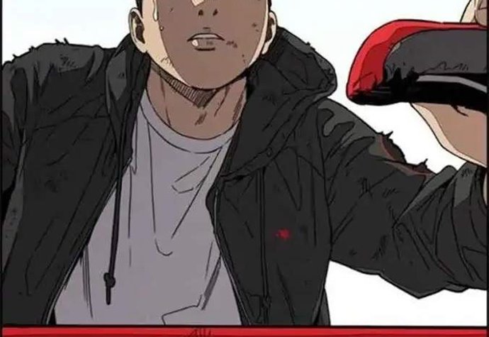 Wind Breaker