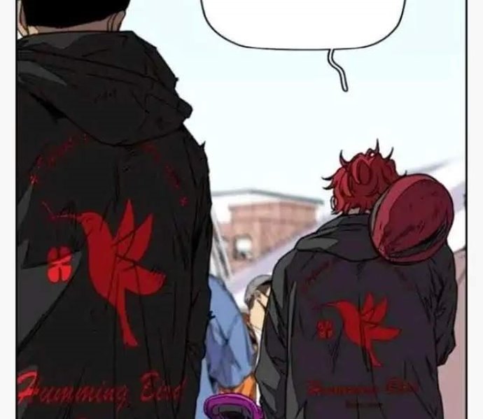 Wind Breaker