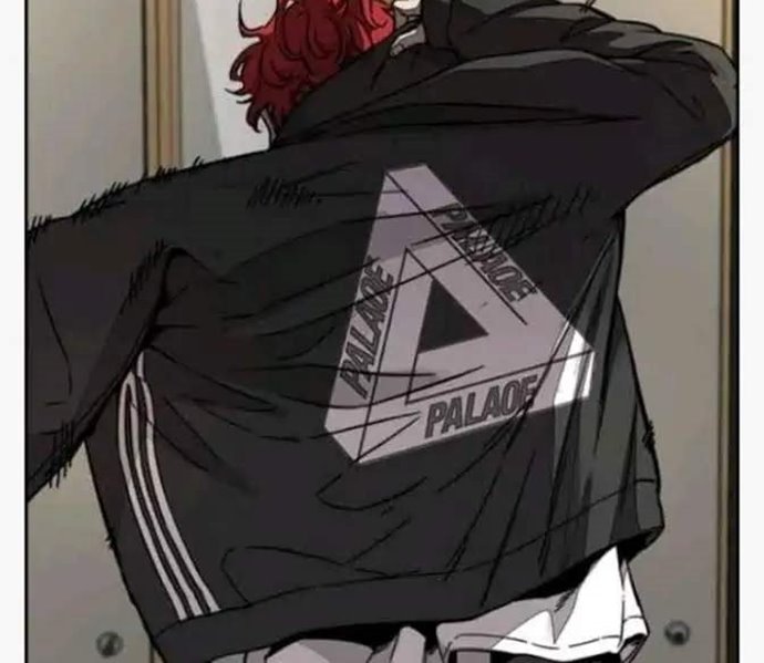 Wind Breaker