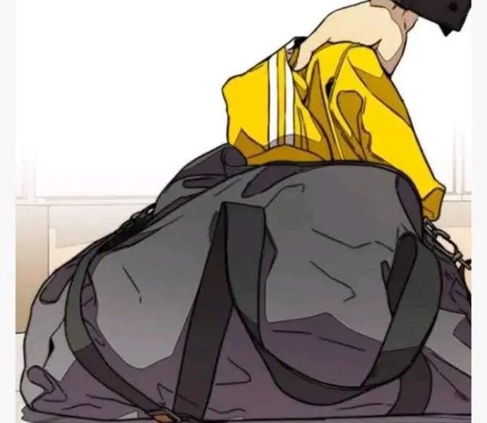 Wind Breaker