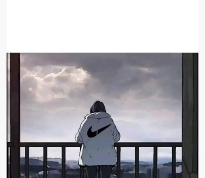 Wind Breaker