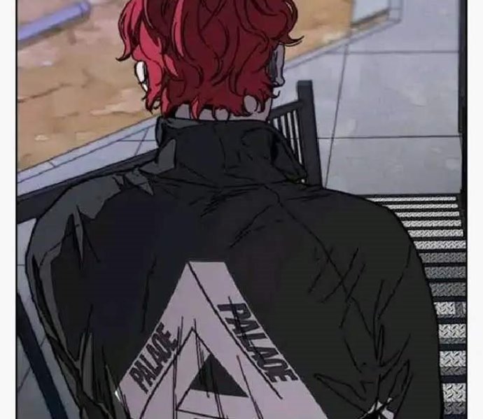 Wind Breaker