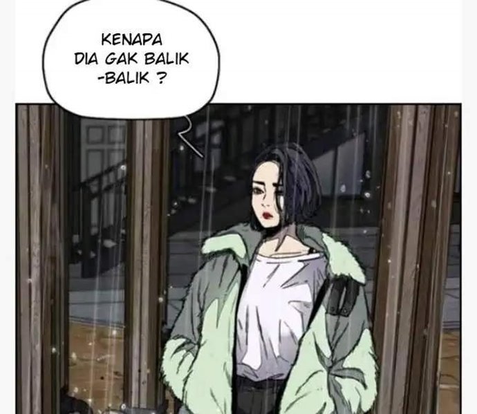 Wind Breaker