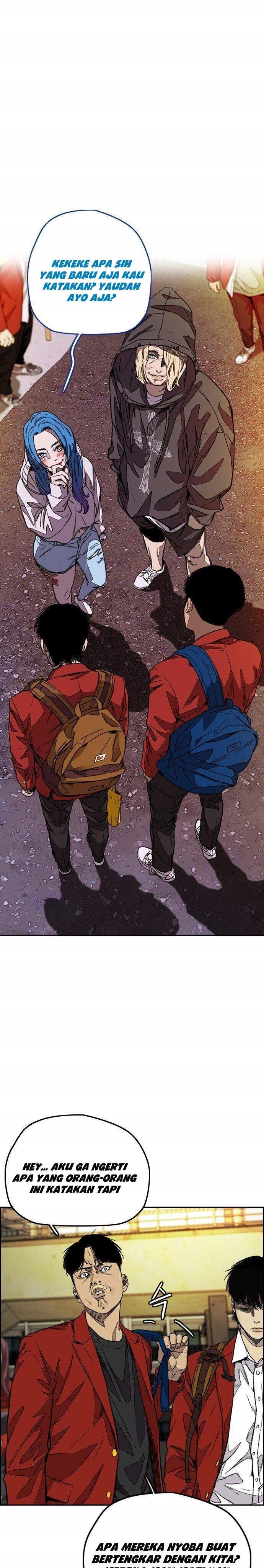 Wind Breaker