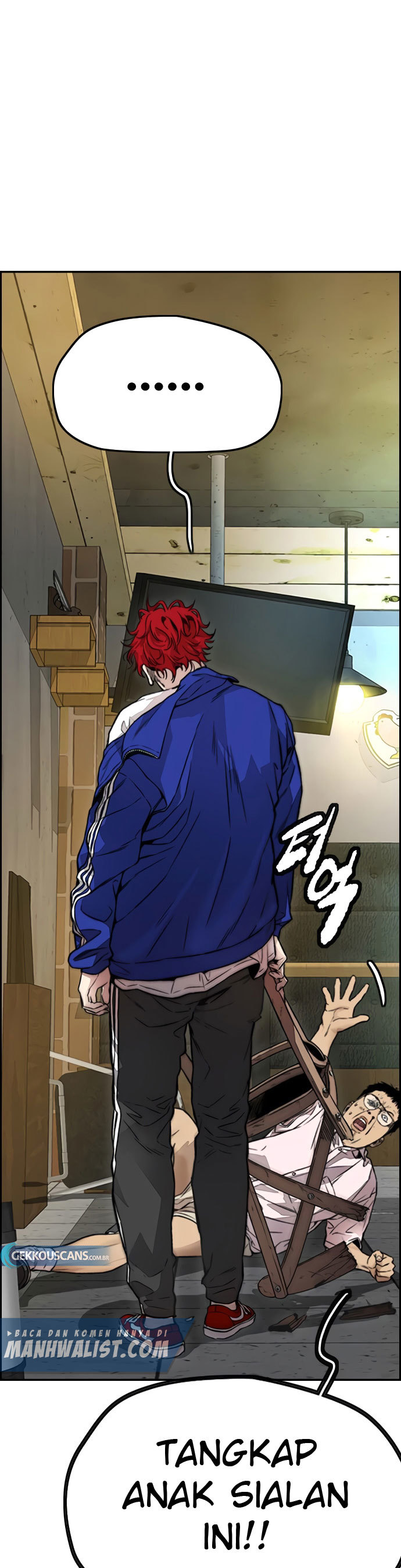 Wind Breaker