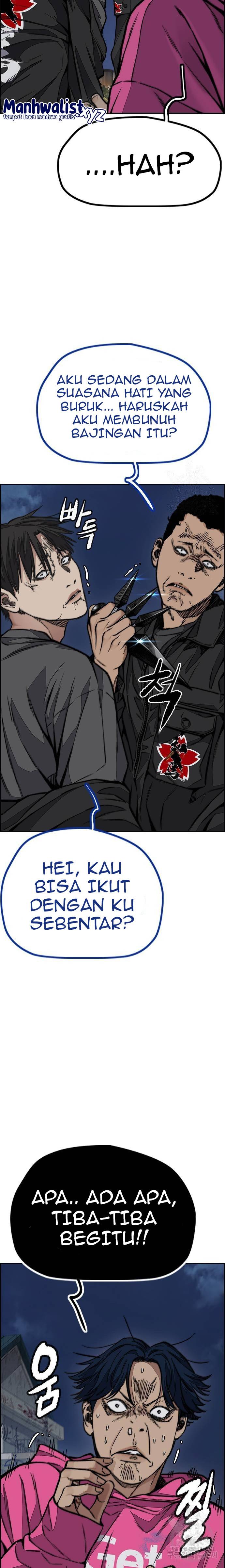 Wind Breaker