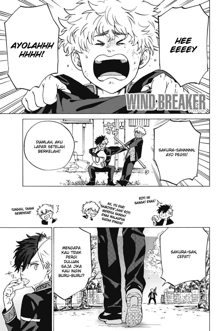 Wind Breaker (NII Satoru)