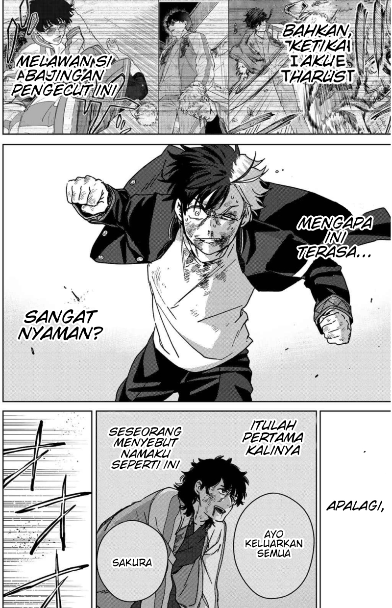Wind Breaker (NII Satoru)