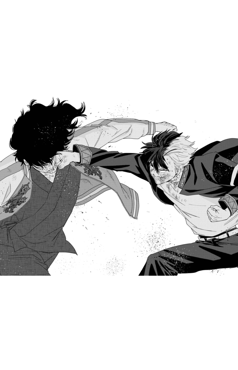 Wind Breaker (NII Satoru)