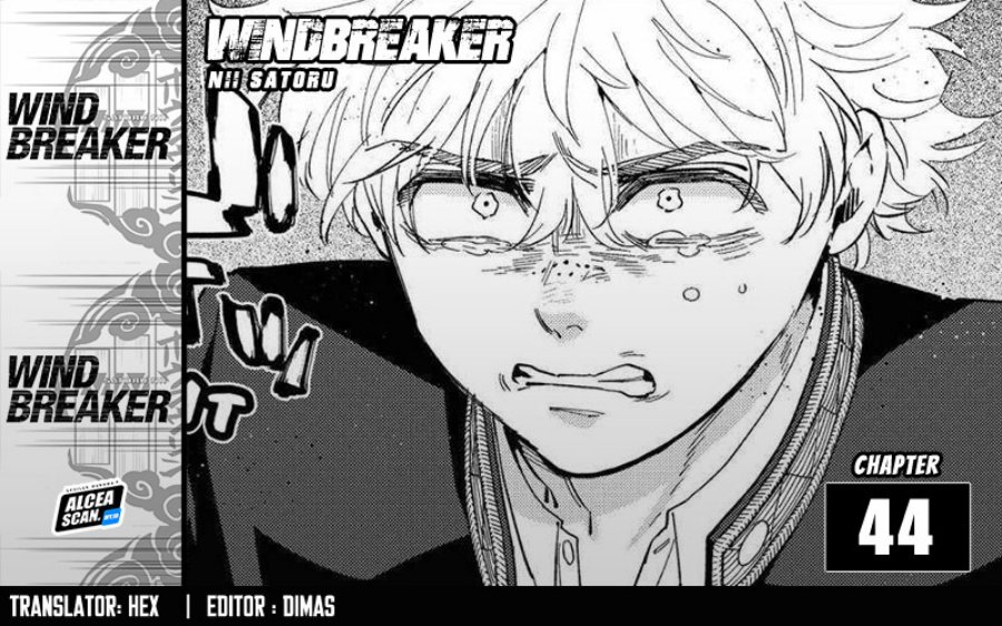 Wind Breaker (NII Satoru)