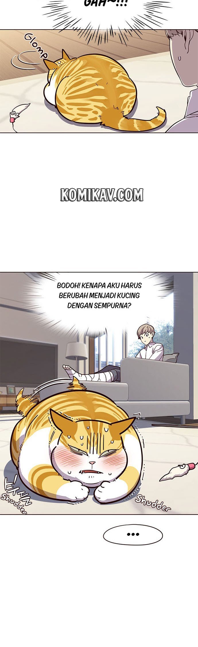Eleceed