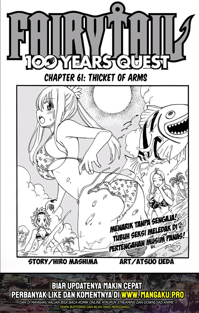 Fairy Tail: 100 Years Quest