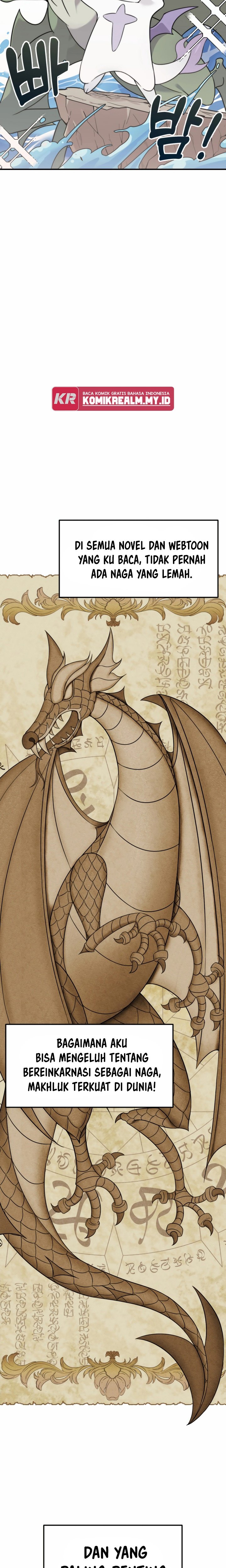 How to Survive as a Terminally-Ill Dragon