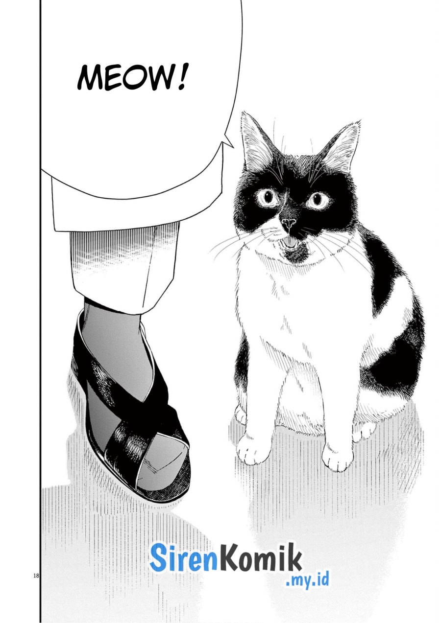 Insomniacs After School (Kimi wa Houkago Insomnia)