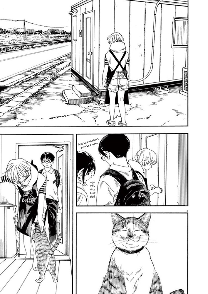 Insomniacs After School (Kimi wa Houkago Insomnia)