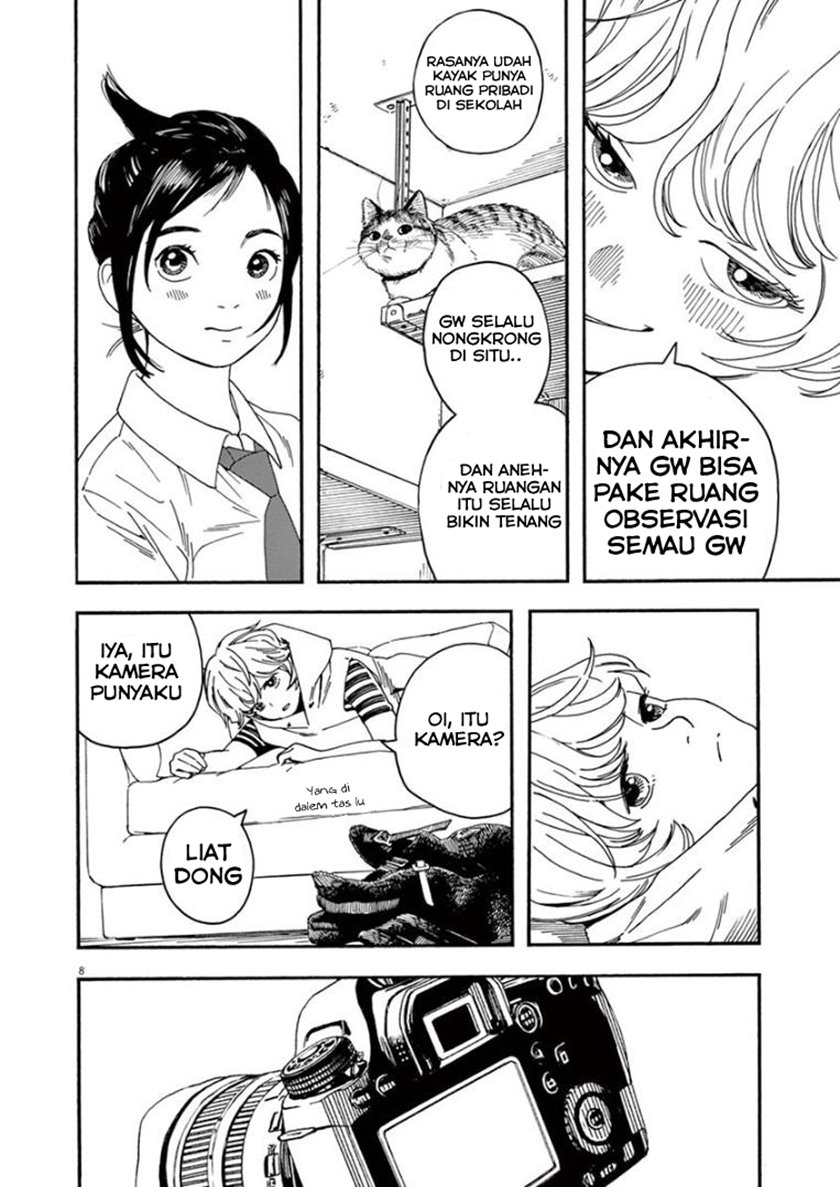 Insomniacs After School (Kimi wa Houkago Insomnia)