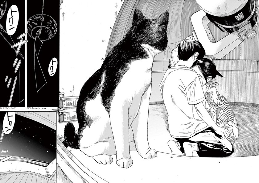 Insomniacs After School (Kimi wa Houkago Insomnia)