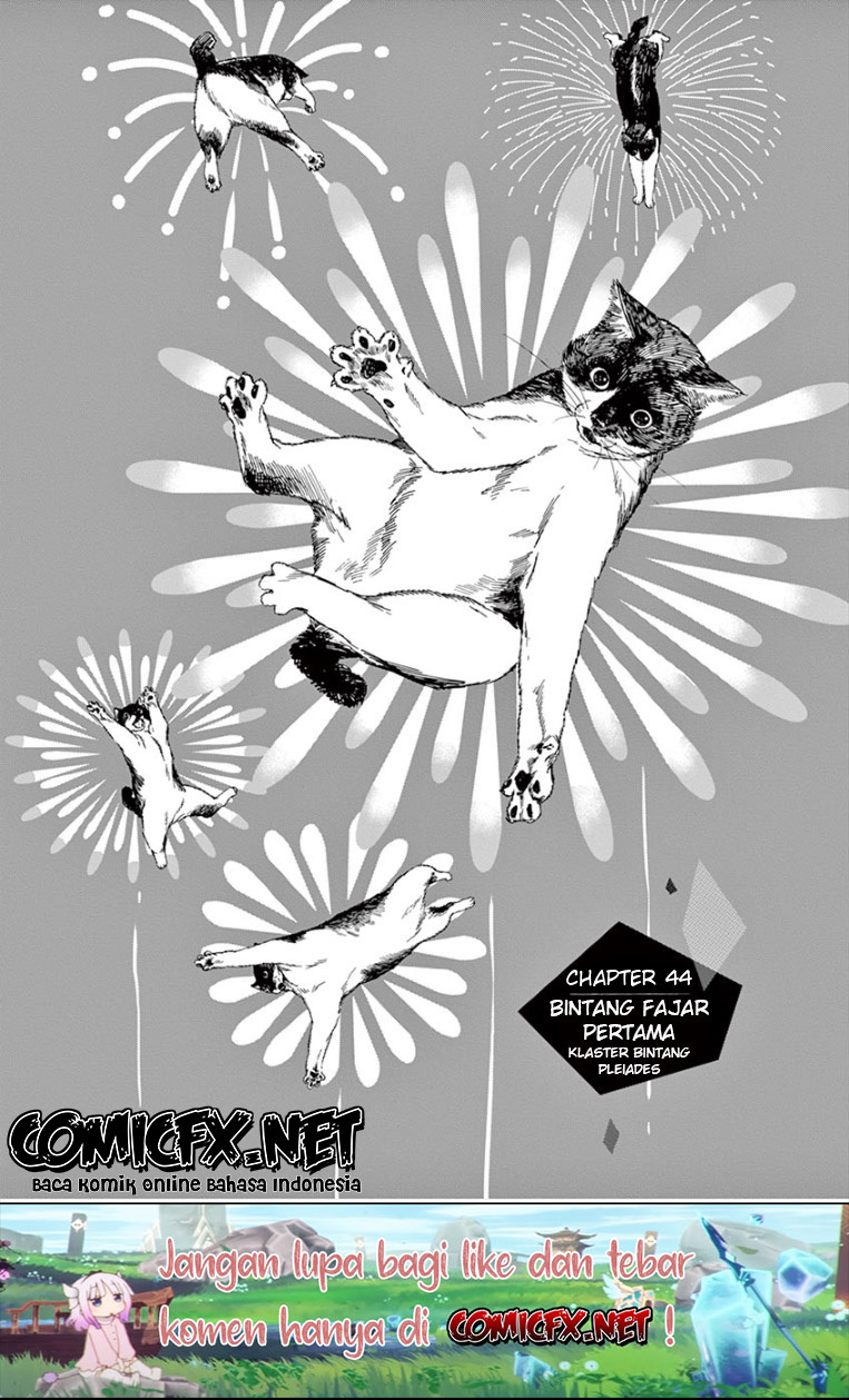 Insomniacs After School (Kimi wa Houkago Insomnia)