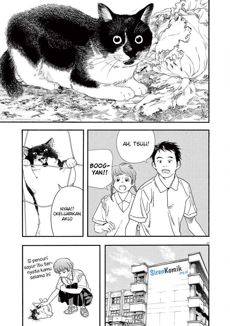Insomniacs After School (Kimi wa Houkago Insomnia)
