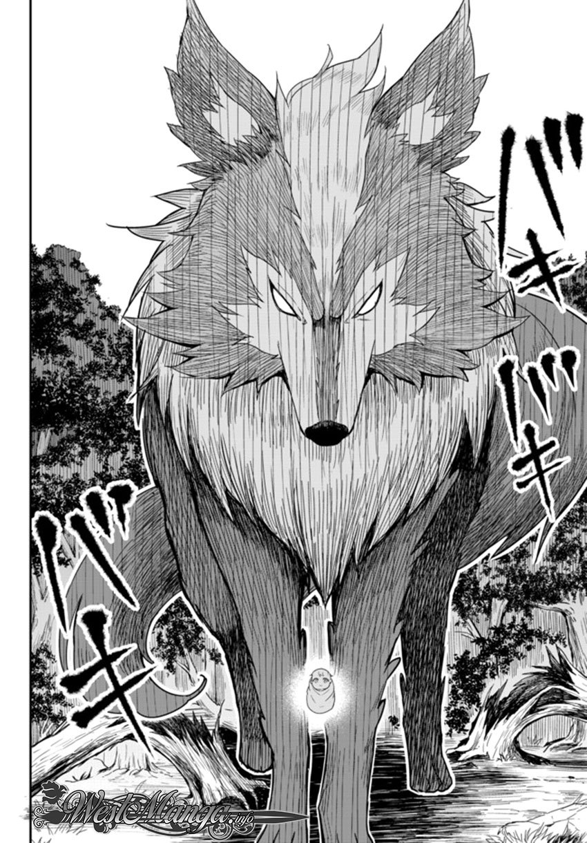 Jitsu wa Ore, Saikyou deshita?