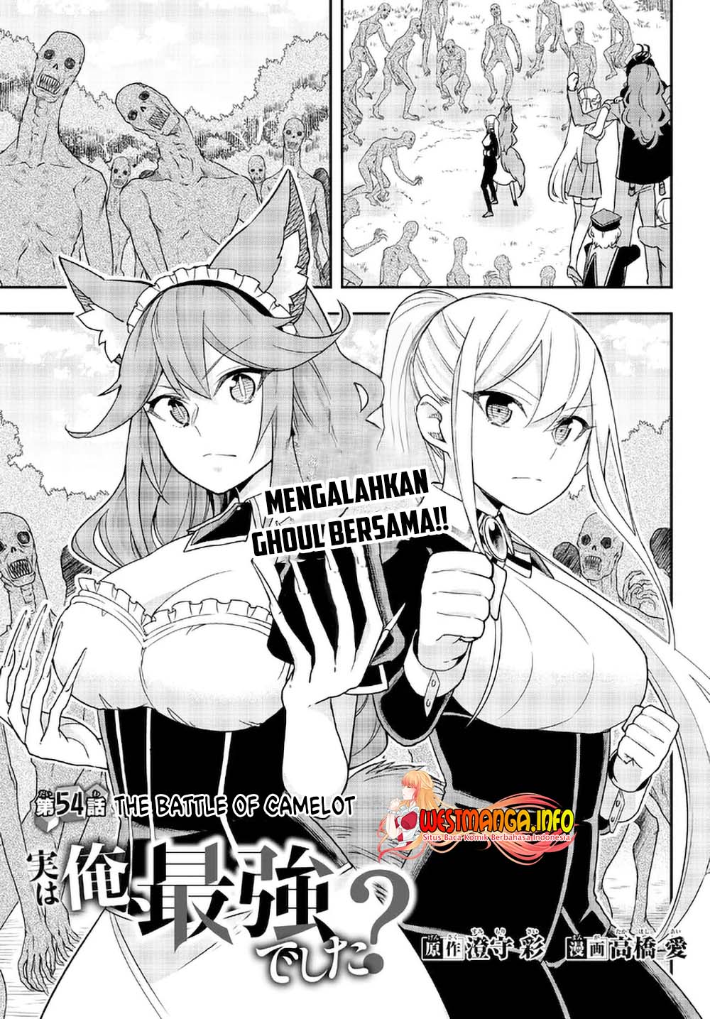 Jitsu wa Ore, Saikyou deshita?