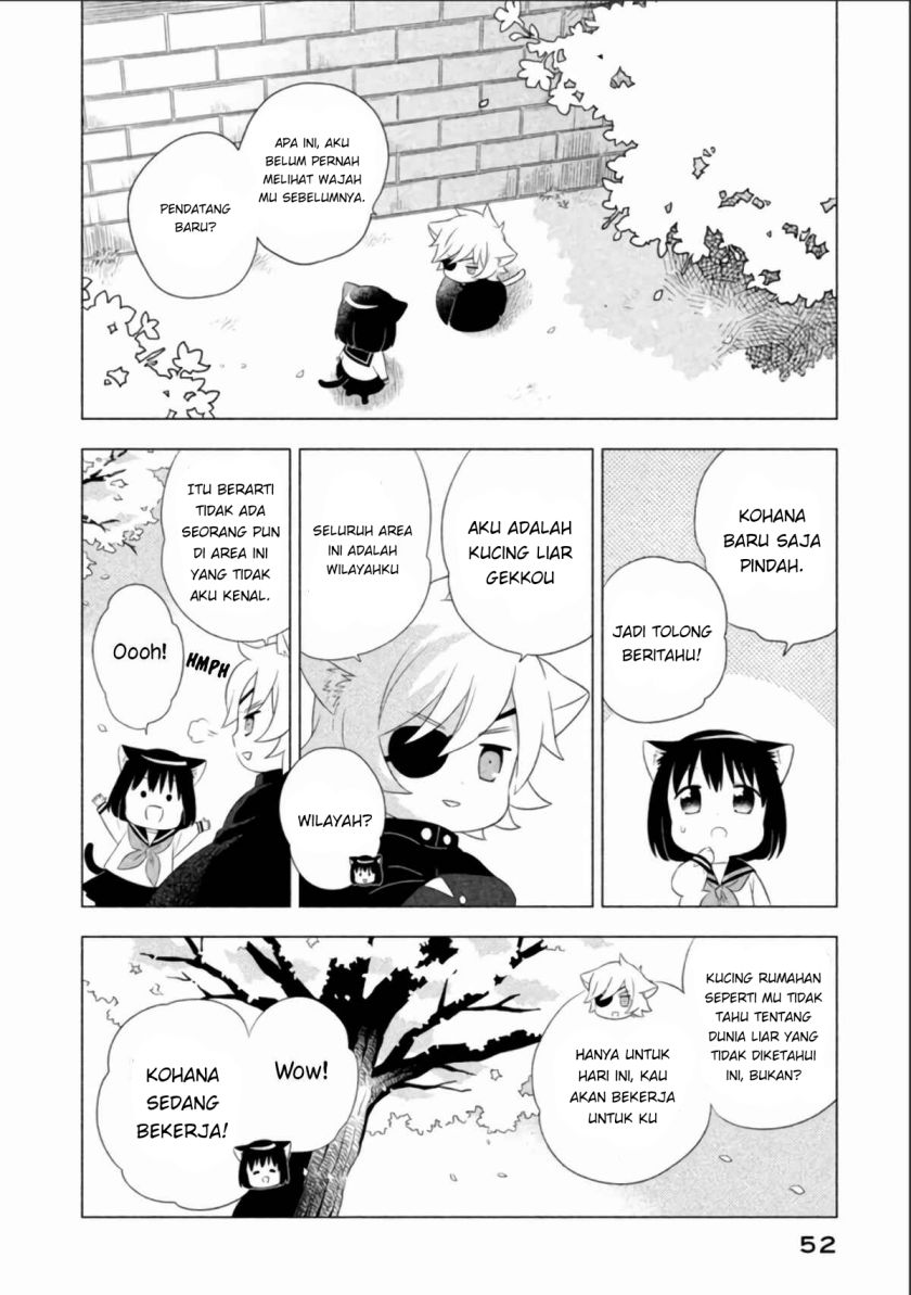 Neko no Kohana Chapter 4