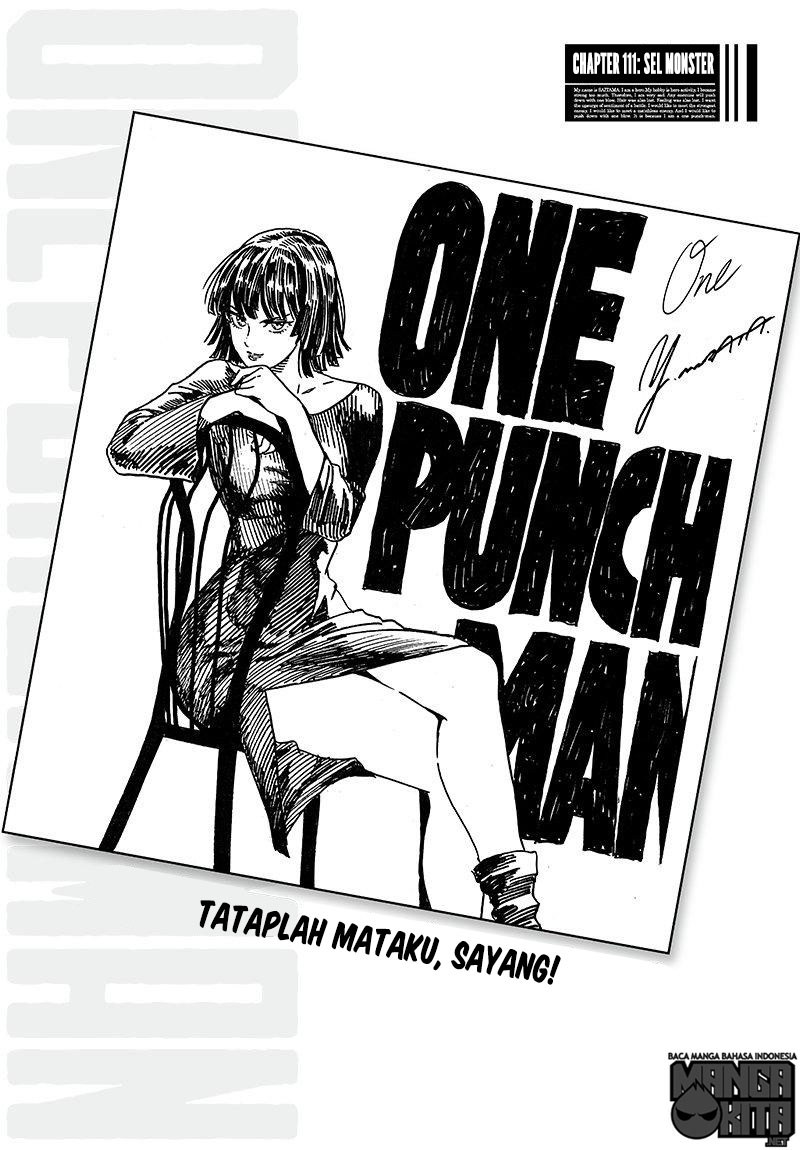 One Punch Man