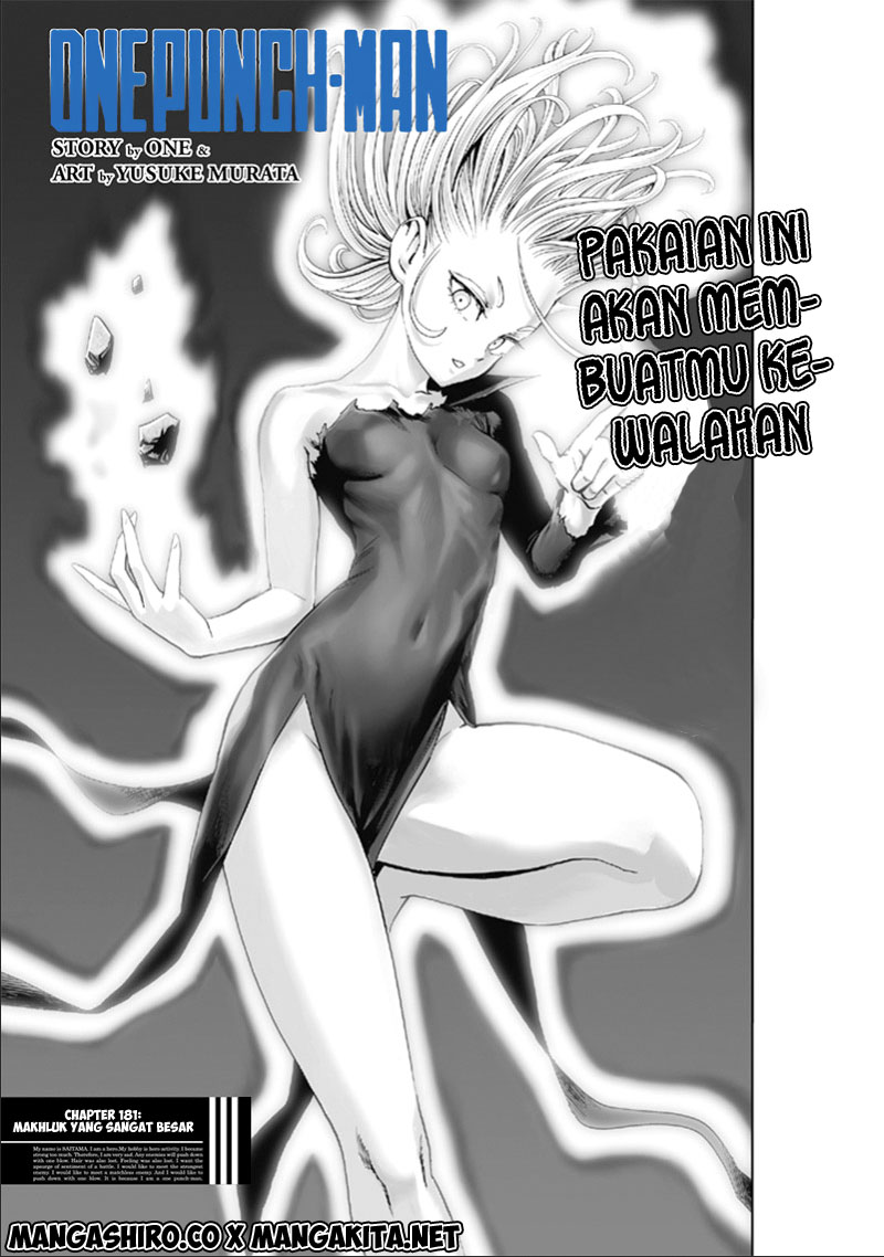 One Punch Man
